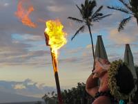 Maui Wow